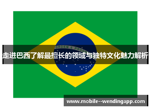 走进巴西了解最擅长的领域与独特文化魅力解析 走进巴西了解最擅长的领域与独特文化魅力解析