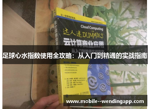足球心水指数使用全攻略：从入门到精通的实战指南