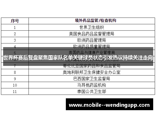 世界杯赛后复盘聚焦国家队名单关键球员状态引发热议持续关注走向 世界杯赛后复盘聚焦国家队名单关键球员状态引发热议持续关注走向