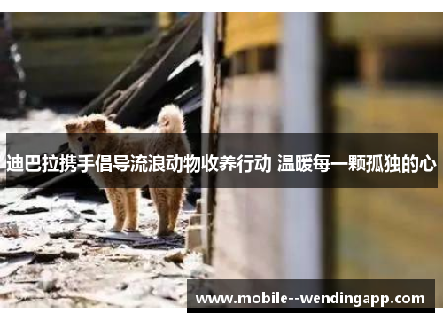 迪巴拉携手倡导流浪动物收养行动 温暖每一颗孤独的心