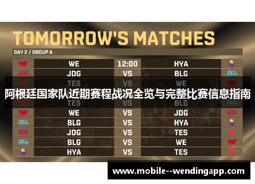 阿根廷国家队近期赛程战况全览与完整比赛信息指南