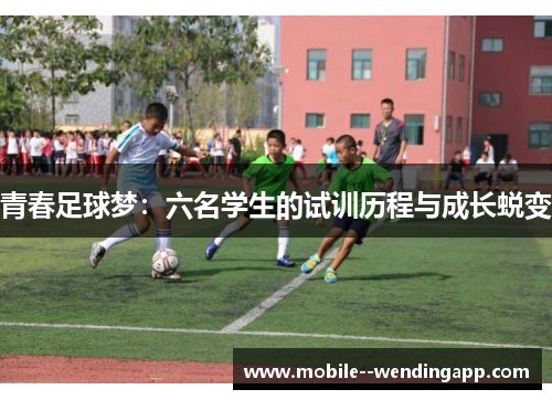 青春足球梦：六名学生的试训历程与成长蜕变