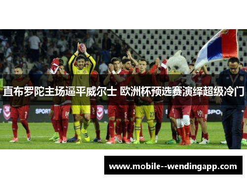 直布罗陀主场逼平威尔士 欧洲杯预选赛演绎超级冷门 直布罗陀主场逼平威尔士 欧洲杯预选赛演绎超级冷门