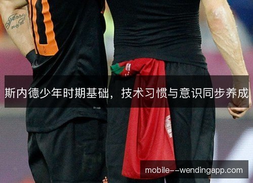 斯内德少年时期基础,技术习惯与意识同步养成 斯内德少年时期基础,技术习惯与意识同步养成